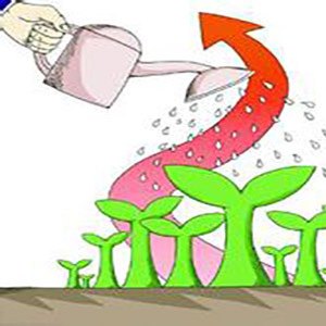 午评：创业板指高开高走涨超2% CPO概念持续走强